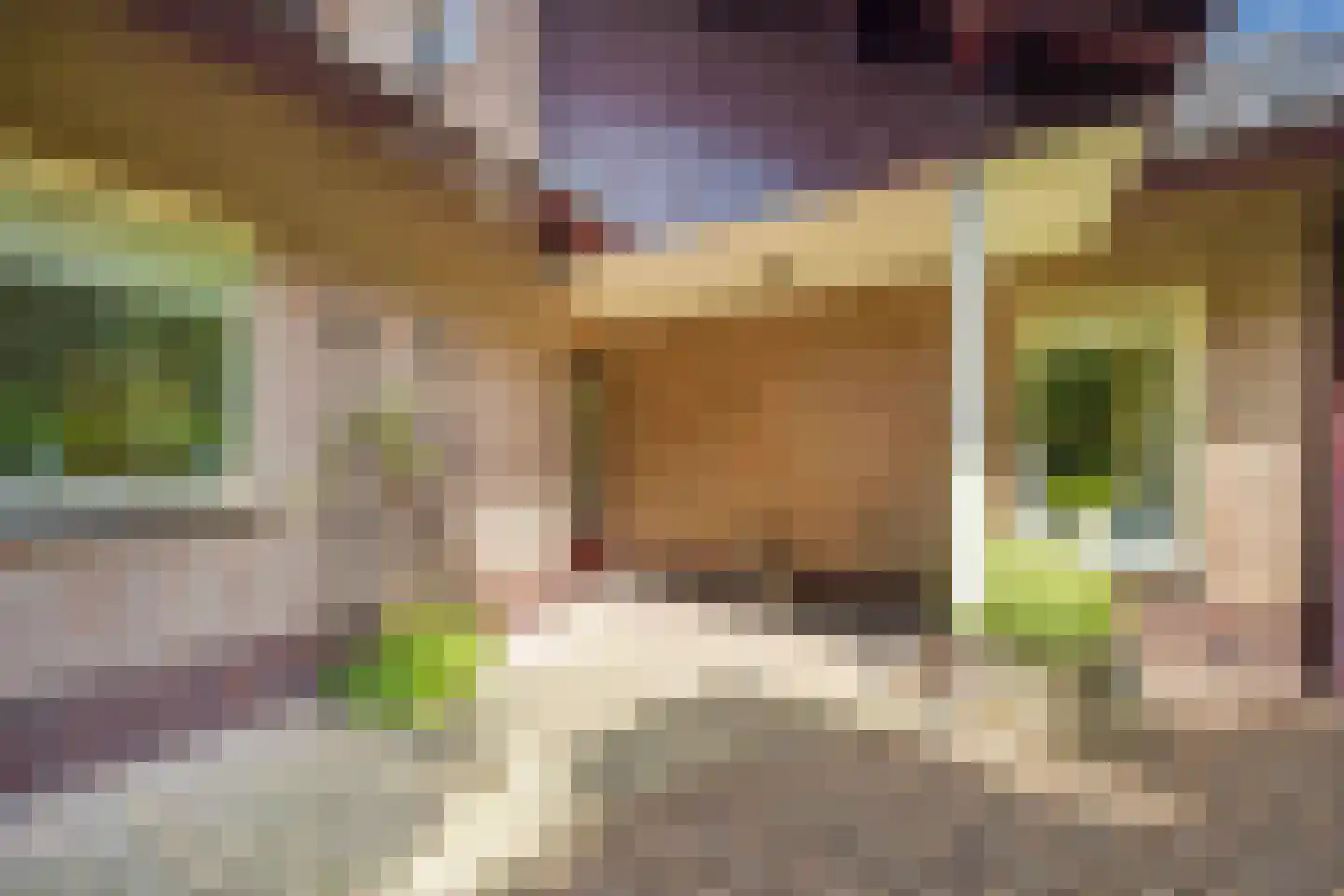 Crailoseweg 48 Huizen thumbnail 9