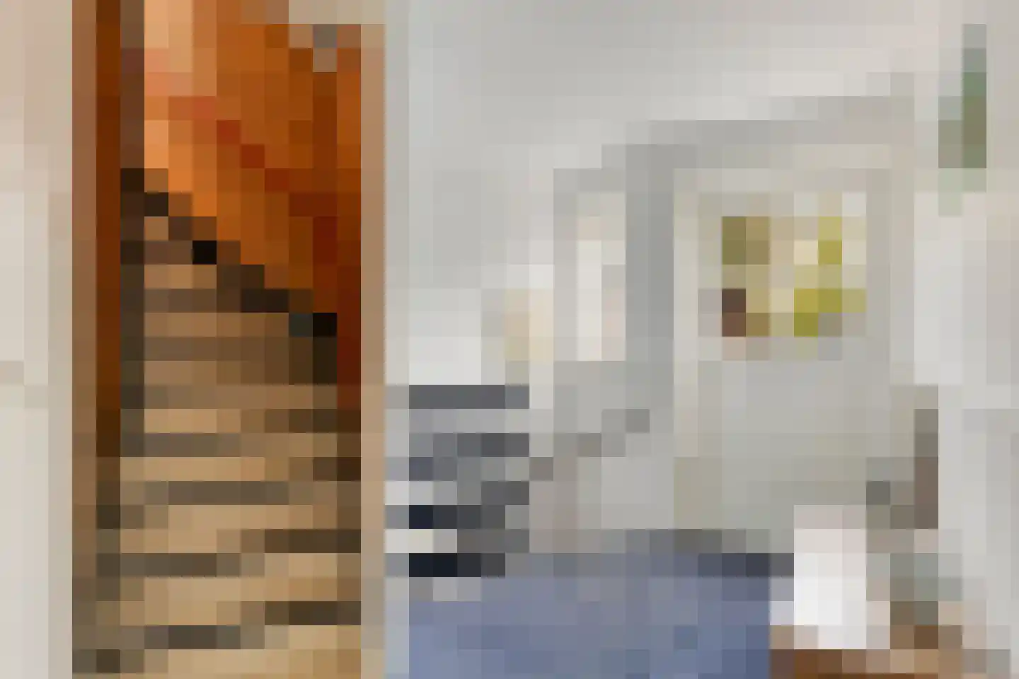 Crailoseweg 8 Huizen thumbnail 17