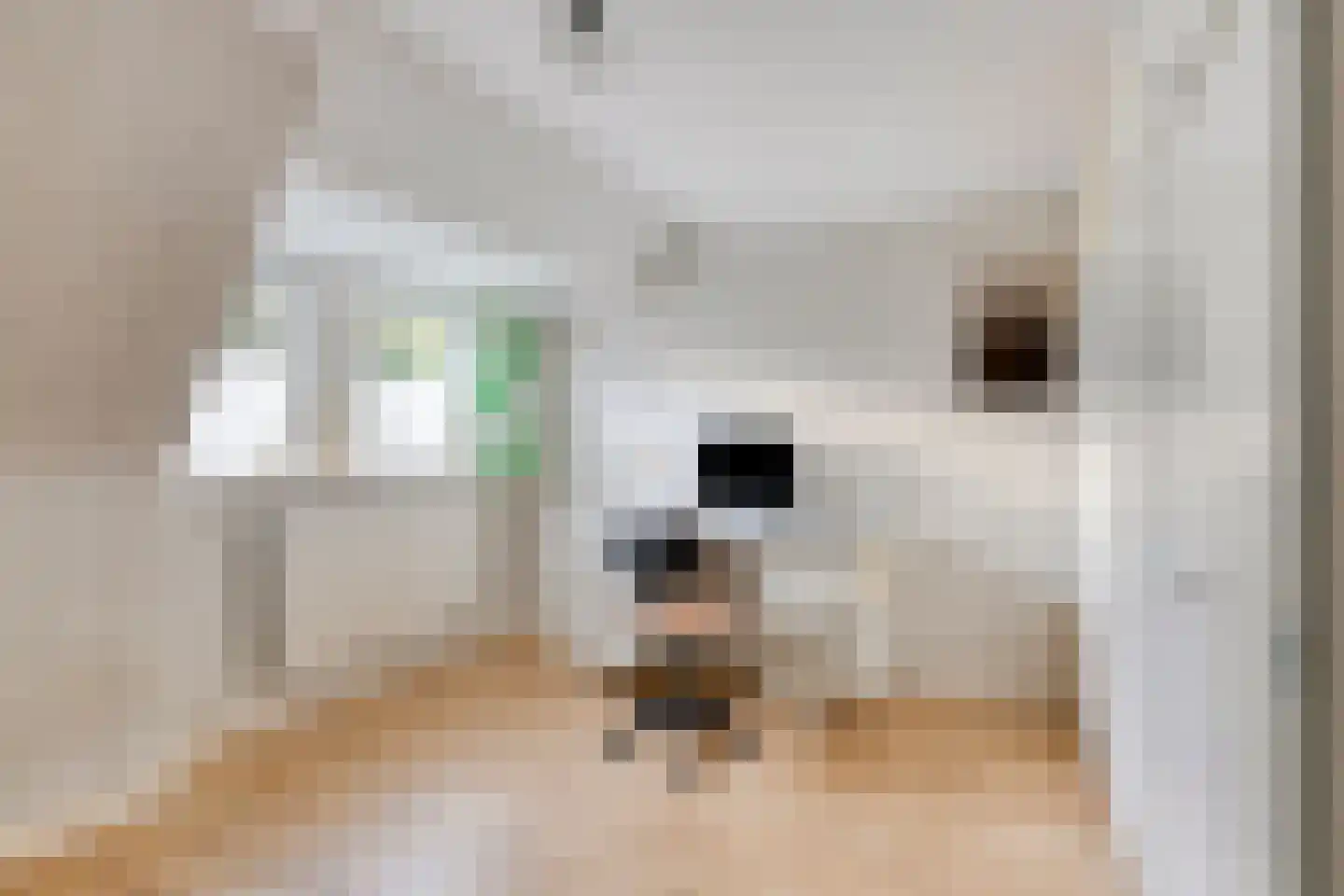 Crailoseweg 8 Huizen thumbnail 21