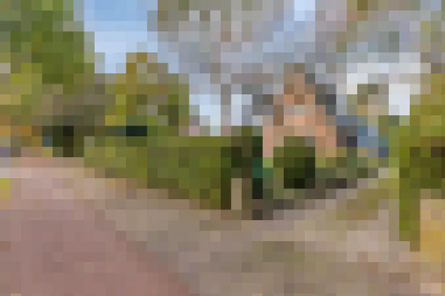 Crailoseweg 8 Huizen thumbnail 40