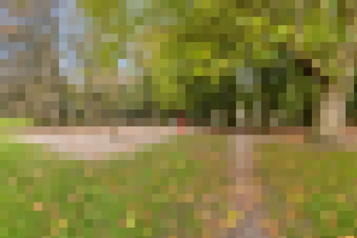 Crailoseweg 8 Huizen thumbnail 47