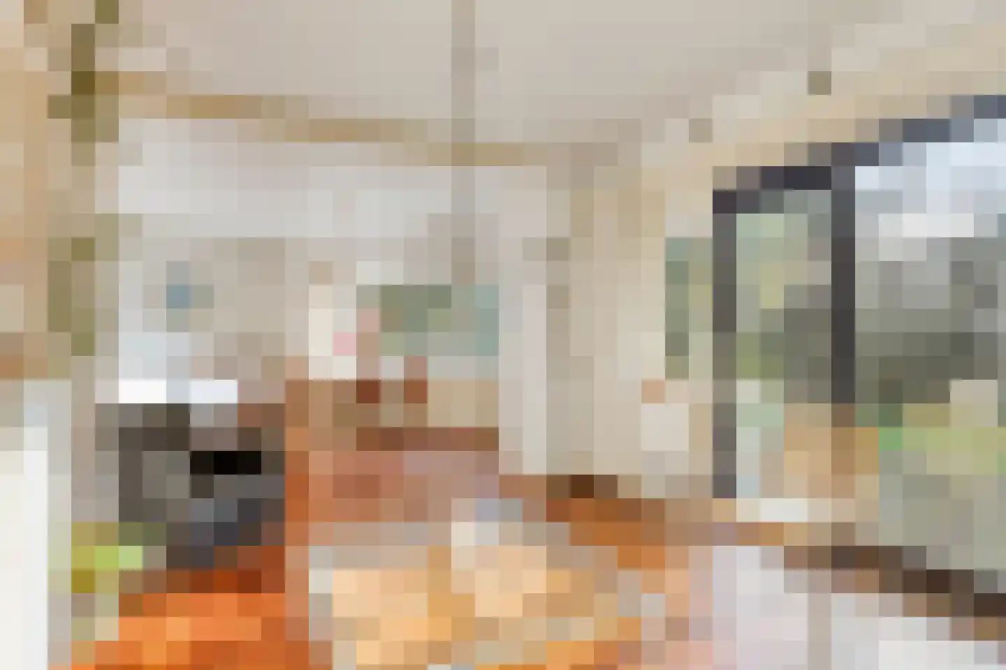 Crailoseweg 8 Huizen thumbnail 5
