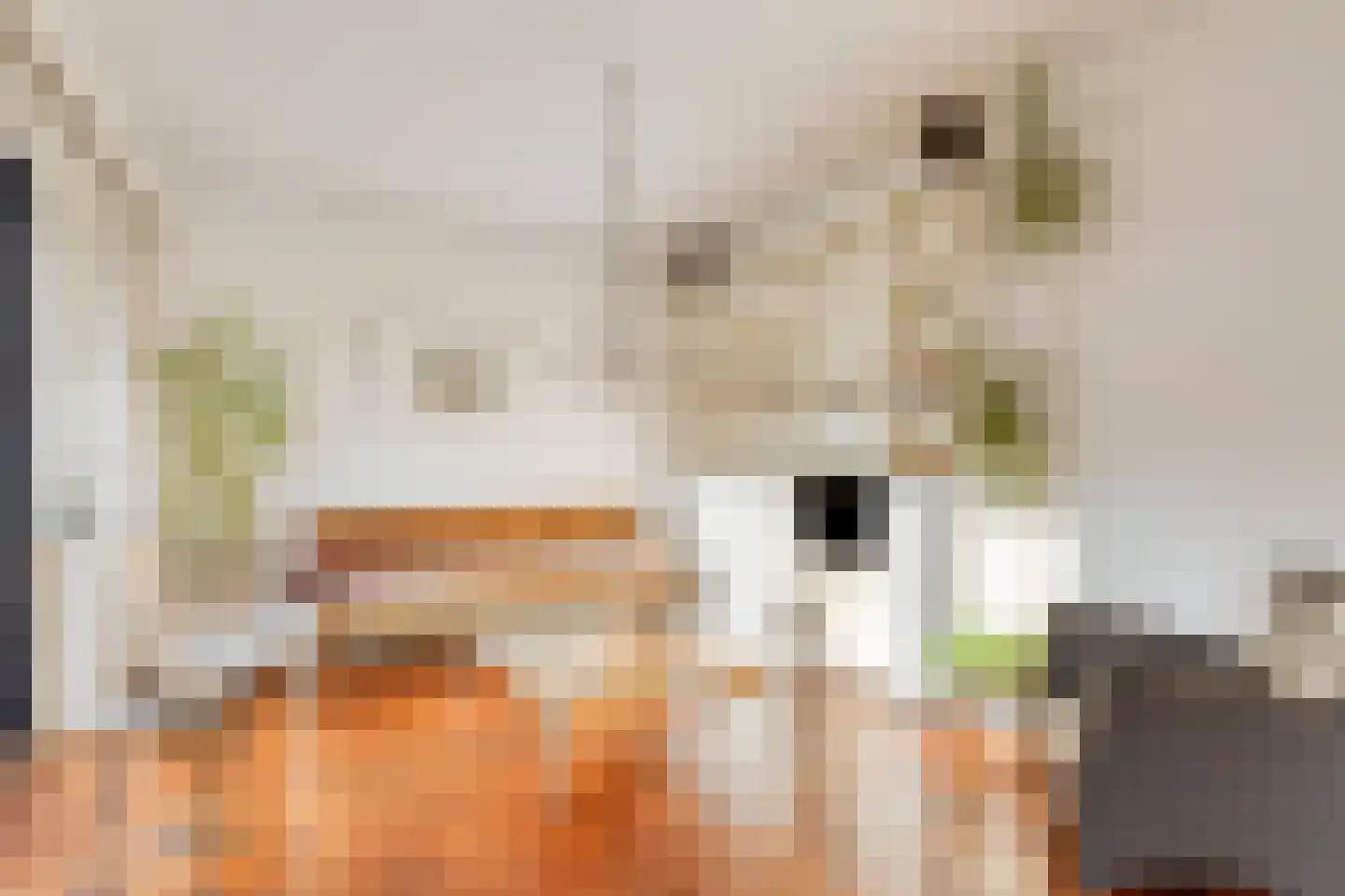 Crailoseweg 8 Huizen thumbnail 6