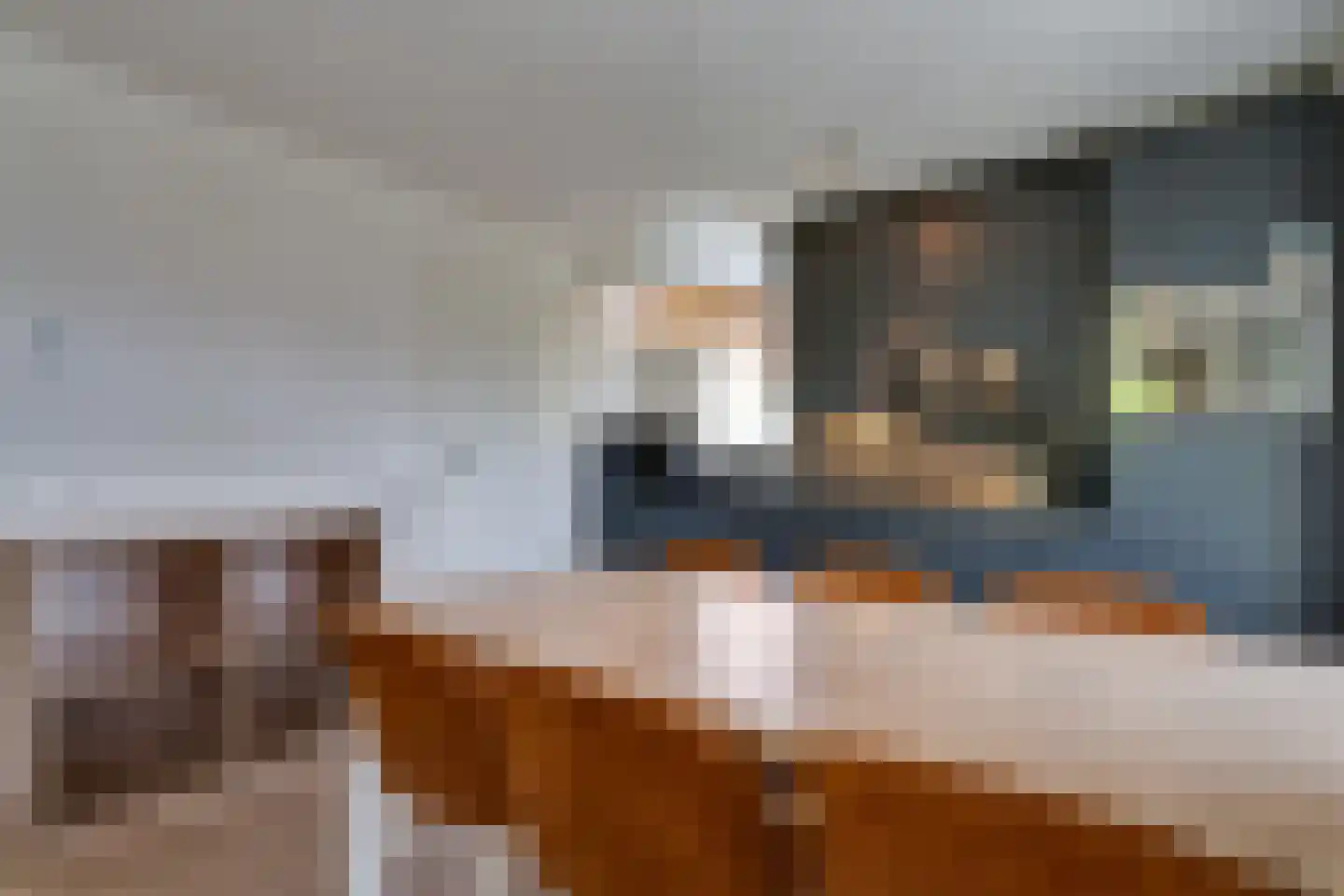 Crakezand 17 Cadzand thumbnail 14