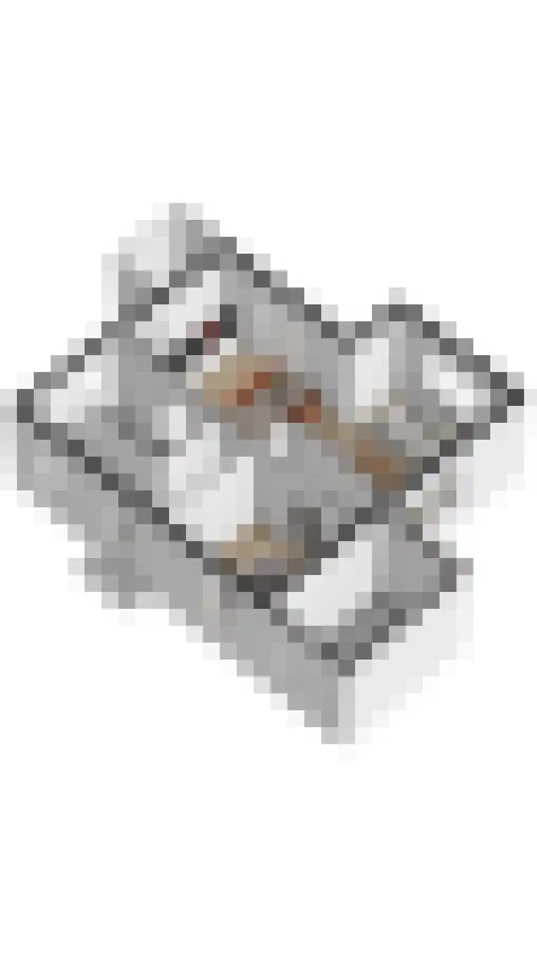 Crakezand 17 Cadzand thumbnail 37