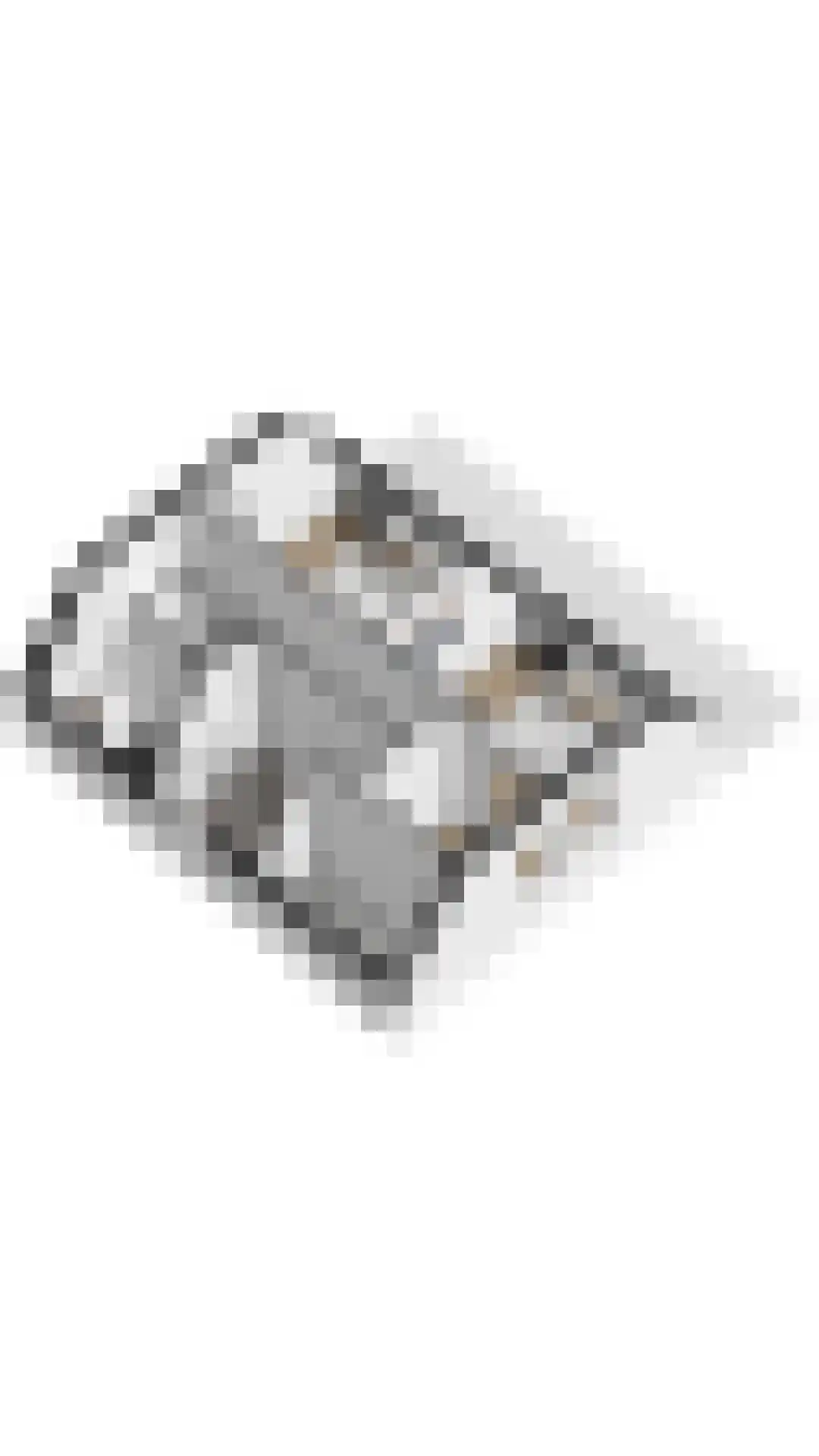 Crakezand 17 Cadzand thumbnail 38