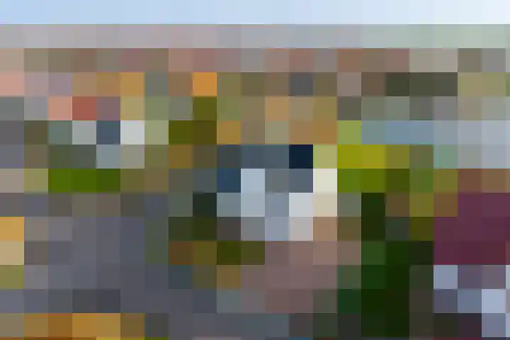 Crakezand 23 Cadzand thumbnail 24