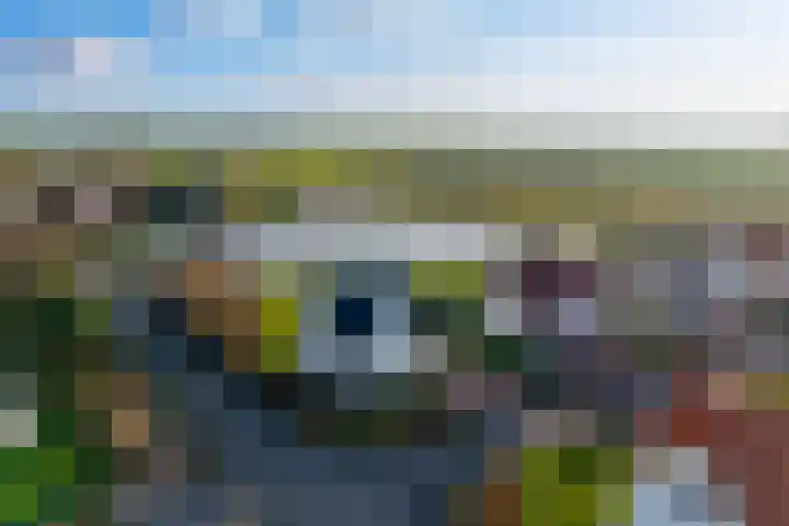 Crakezand 23 Cadzand thumbnail 25