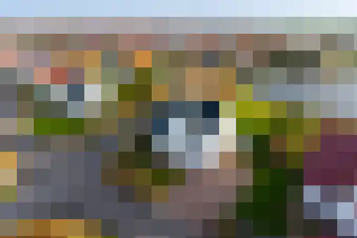 Crakezand 23 Cadzand thumbnail 31