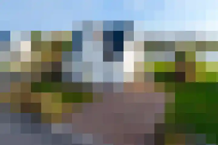 Crakezand 23 Cadzand thumbnail 34