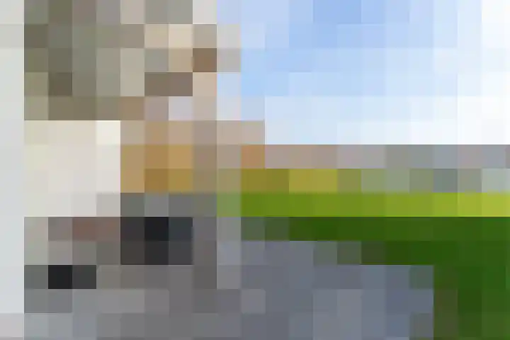 Crakezand 23 Cadzand thumbnail 35