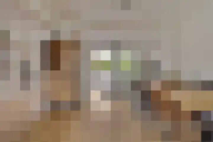 Cramer van Brienenstraat 103 Maastricht thumbnail 9