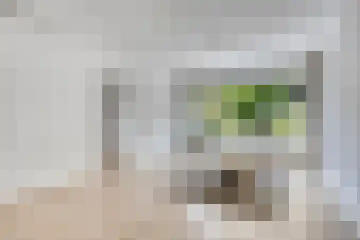 Cramer van Brienenstraat 2 Maastricht thumbnail 10
