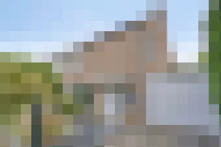 Cramer van Brienenstraat 2 Maastricht thumbnail 5