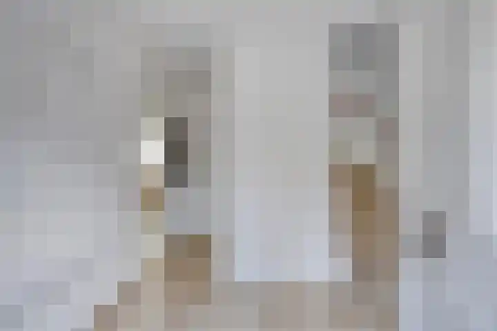 Cramer van Brienenstraat 2 Maastricht thumbnail 6