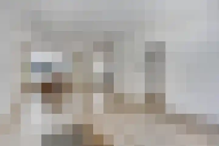 Cramer van Brienenstraat 2 Maastricht thumbnail 9