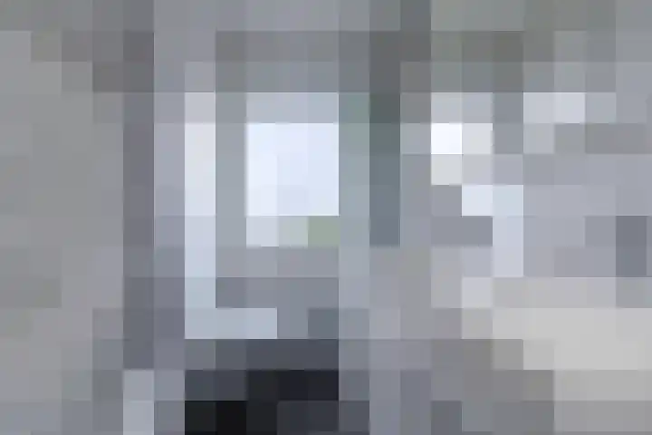 Cramer van Brienenstraat 91 Maastricht thumbnail 18