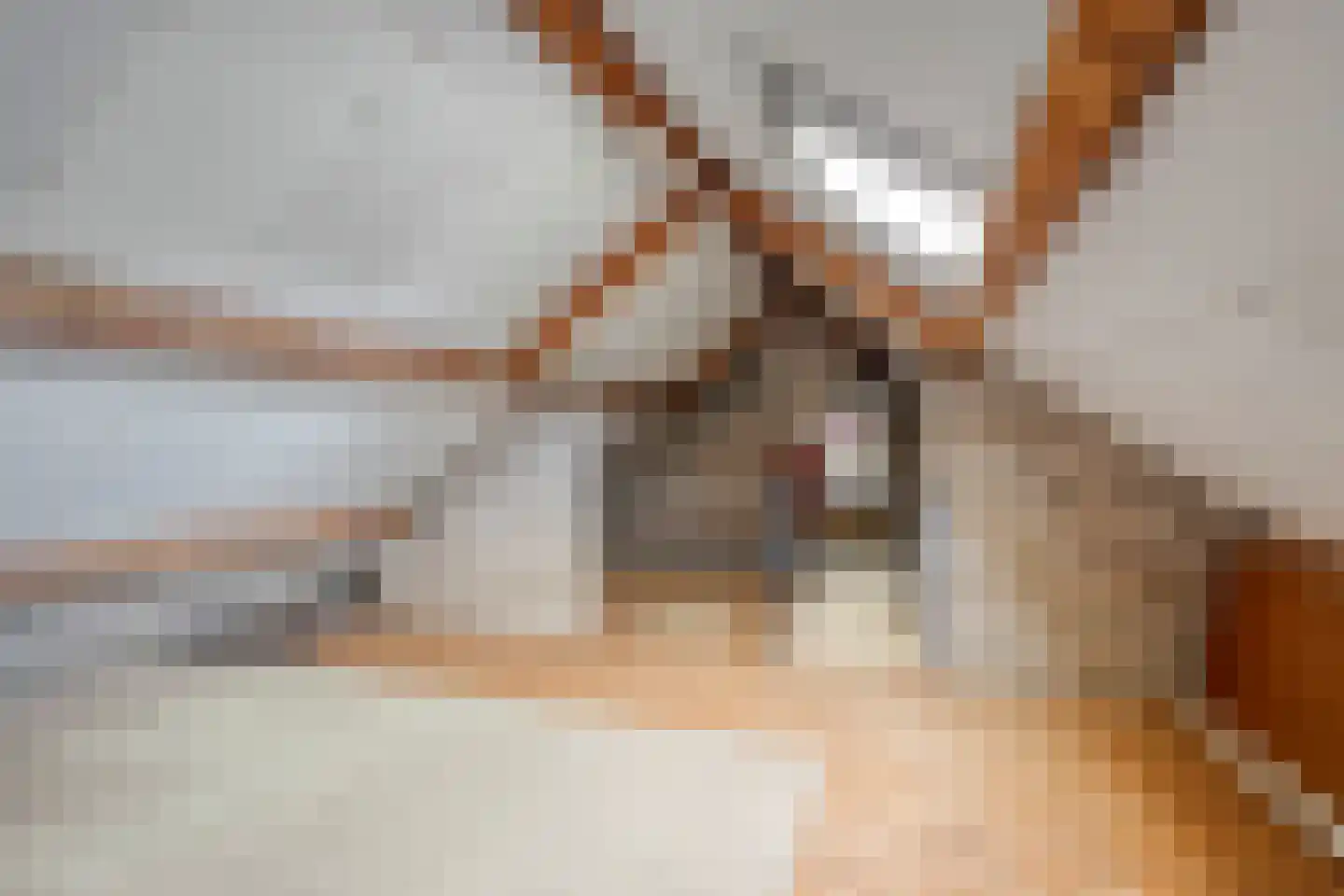 Cramer van Brienenstraat 97 Maastricht thumbnail 21