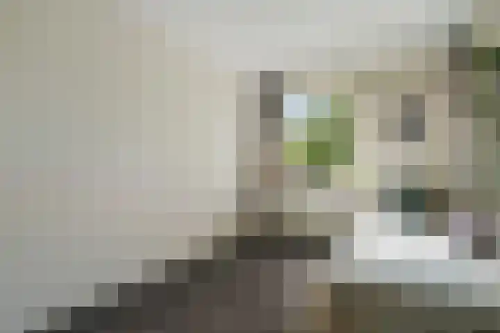 Cramerstraat 14 Delden thumbnail 32