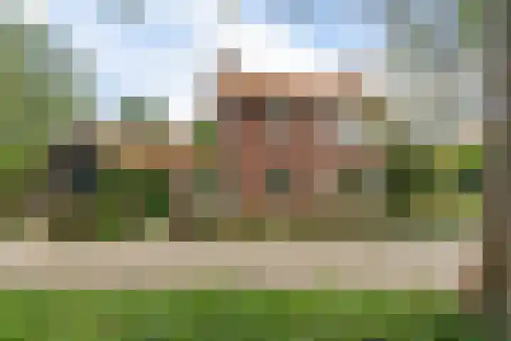 Cramerstraat 14 Delden thumbnail 7