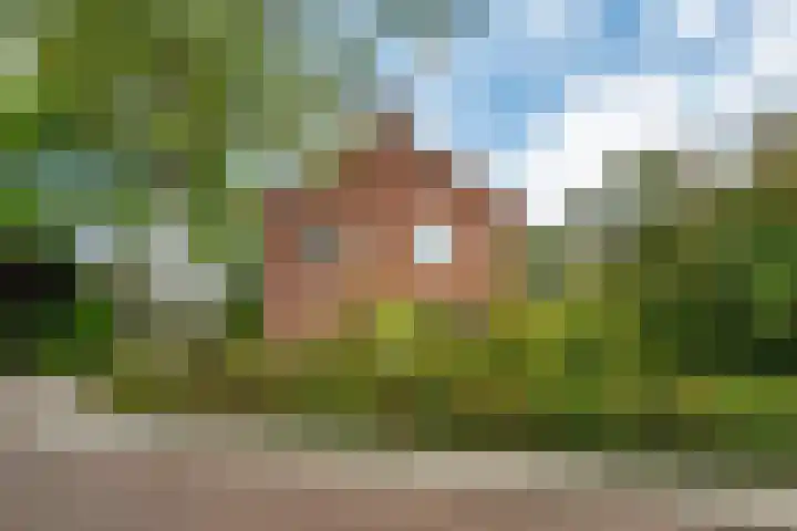 Cramerstraat 14 Delden thumbnail 9