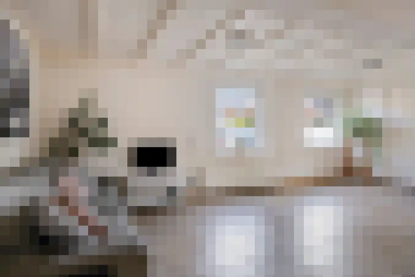 Cramerusstraat 7 Noordwijkerhout thumbnail 10