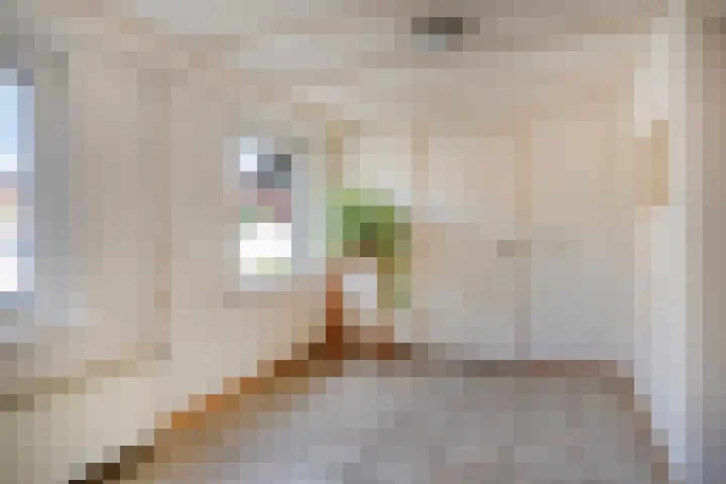 Cramerusstraat 7 Noordwijkerhout thumbnail 9