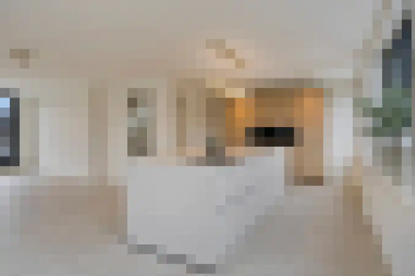 Cramignonstraat 8 A Eijsden thumbnail 21