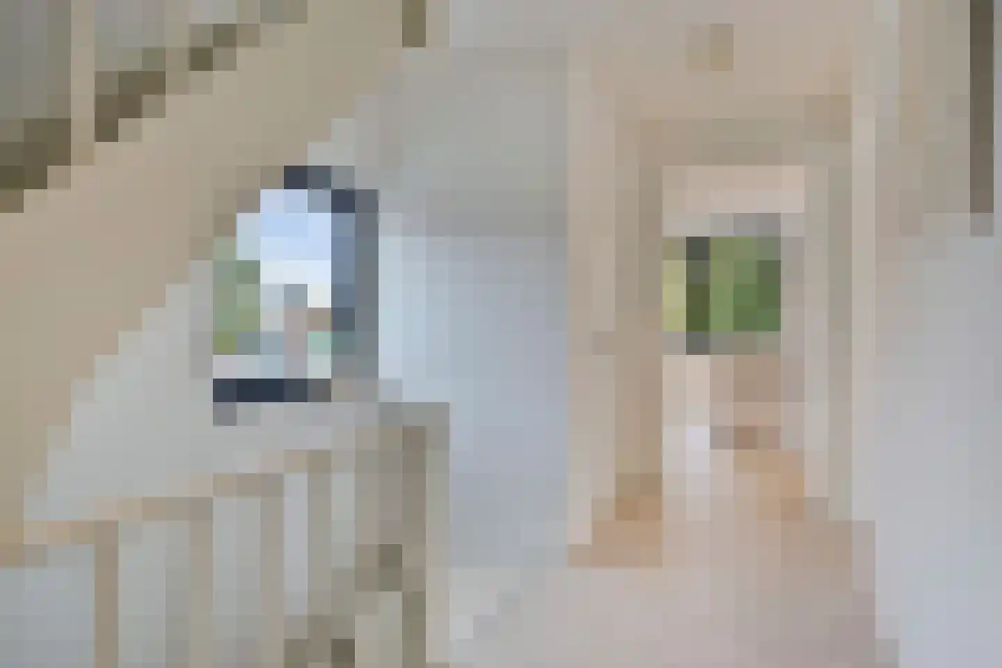 Cramignonstraat 8 A Eijsden thumbnail 8
