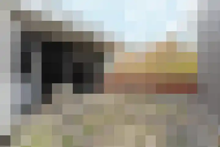 Cranberrylaan 25 Almere thumbnail 34