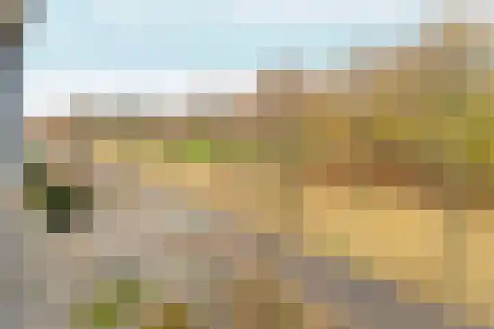 Cranberrylaan 25 Almere thumbnail 35