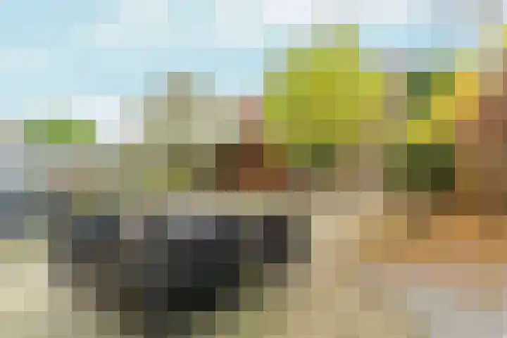 Cranberrylaan 25 Almere thumbnail 36