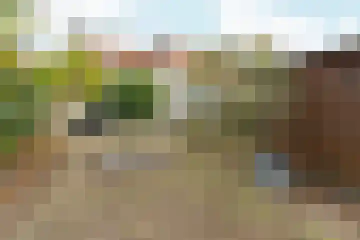 Cranberrylaan 25 Almere thumbnail 38
