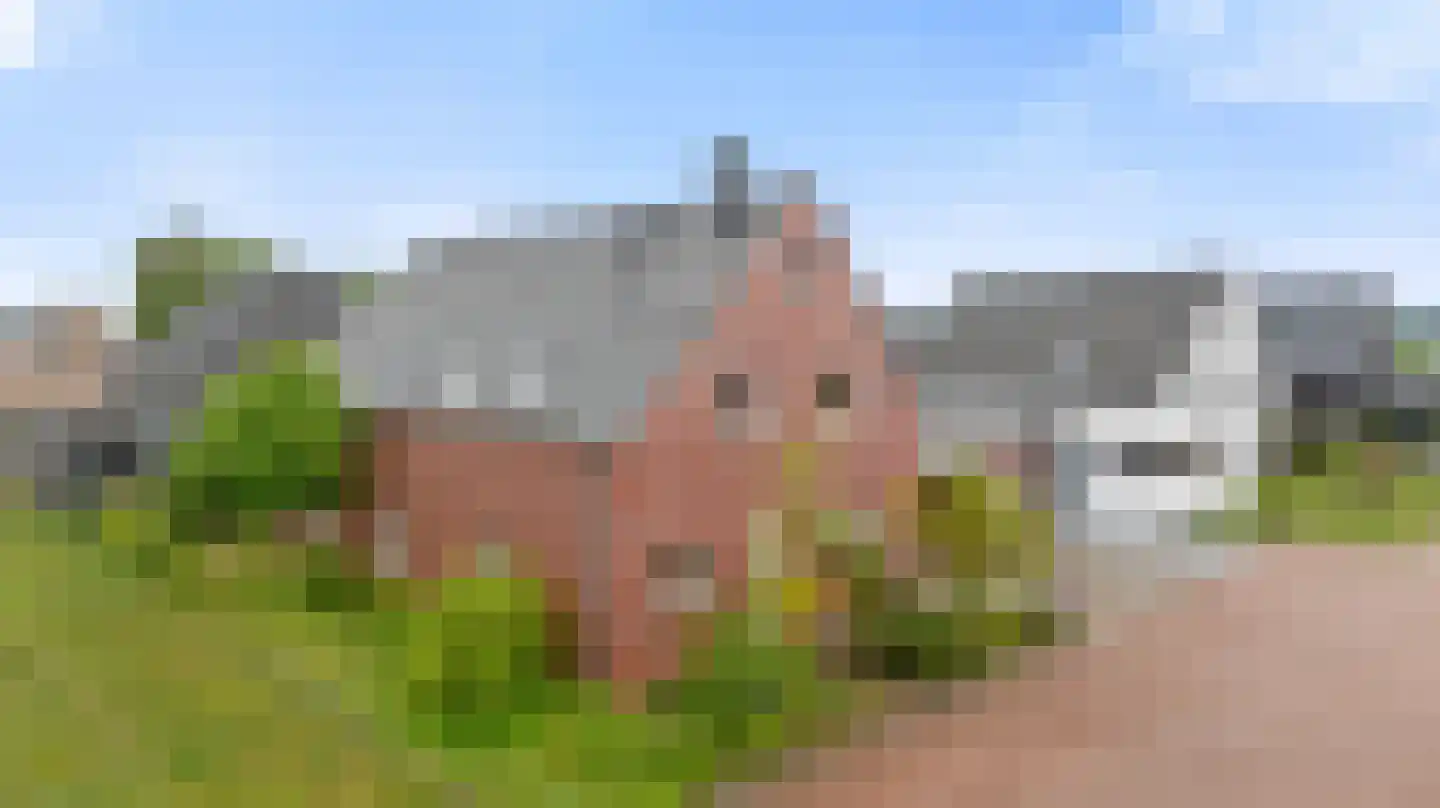 Cranenburgsestraat 22 Groesbeek thumbnail 50