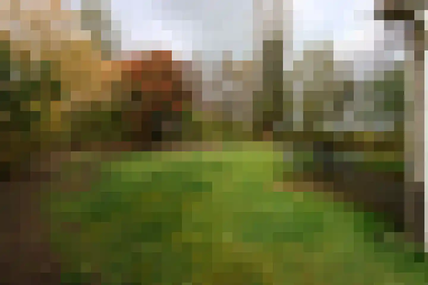 Cranenburgsestraat 23 e 0050 Groesbeek thumbnail 7
