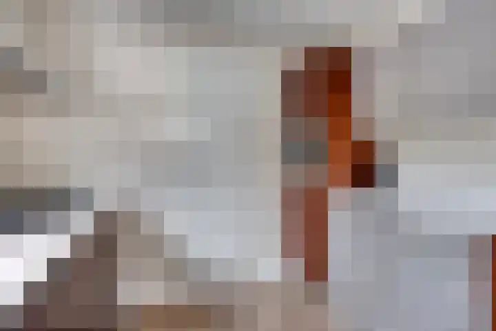 Cranendoncklaan 34 Budel thumbnail 10