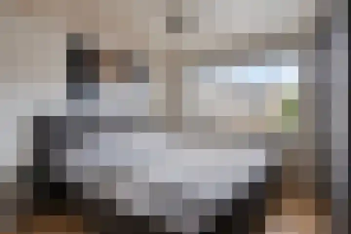 Cranendoncklaan 34 Budel thumbnail 13