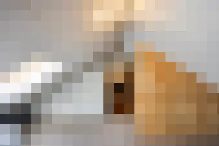 Cranendoncklaan 34 Budel thumbnail 19