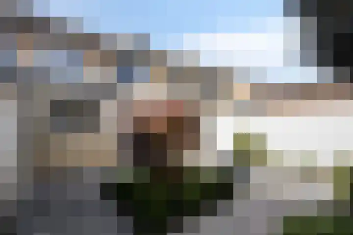 Cranendoncklaan 34 Budel thumbnail 22