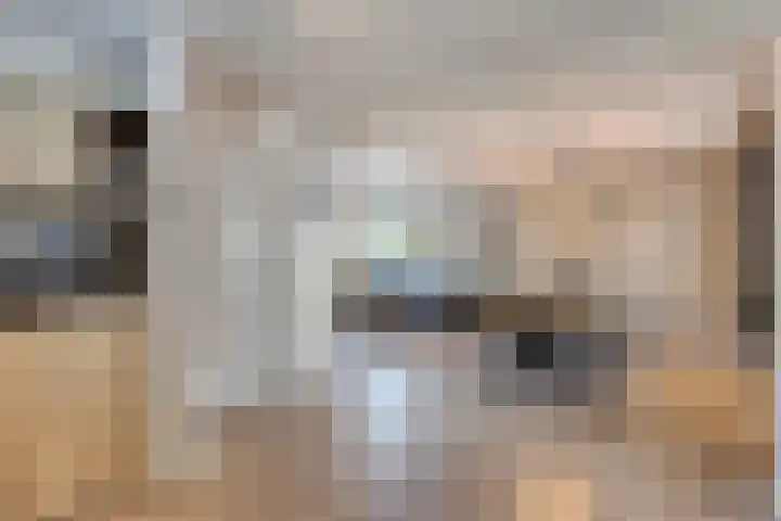 Cranendoncklaan 34 Budel thumbnail 4