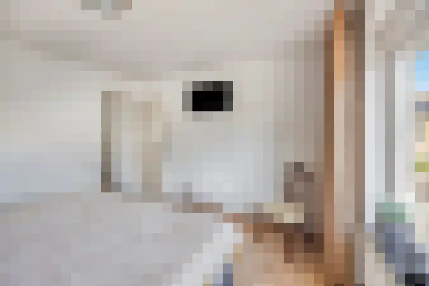 Cranendoncklaan 55 Budel thumbnail 22