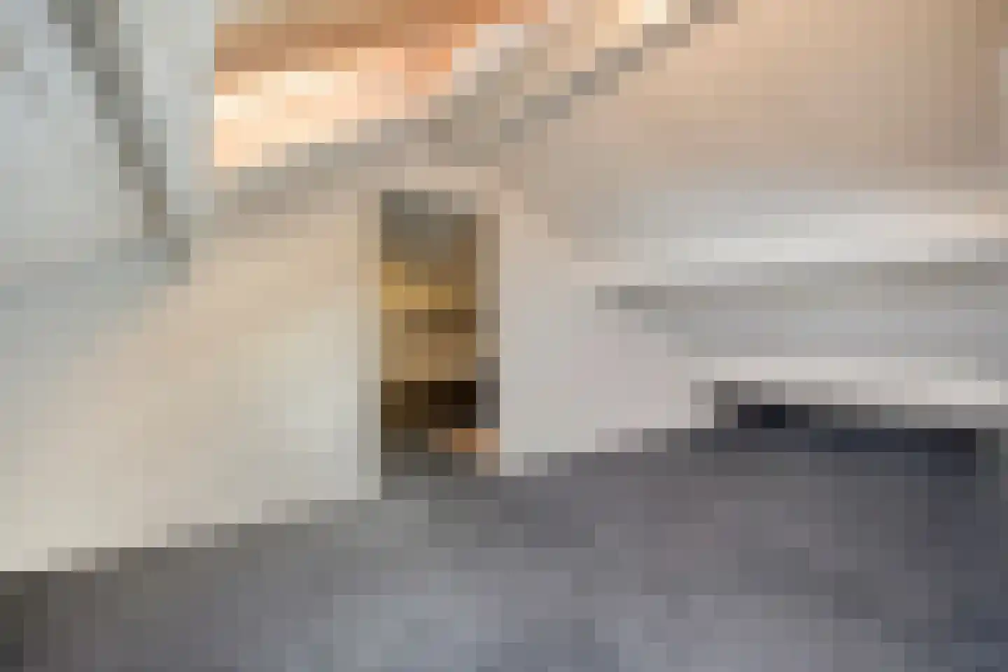 Cranendoncklaan 55 Budel thumbnail 29