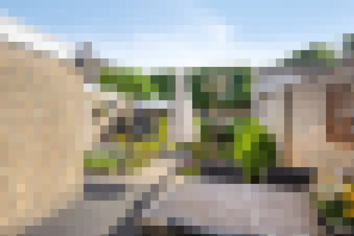 Cranendoncklaan 55 Budel thumbnail 31