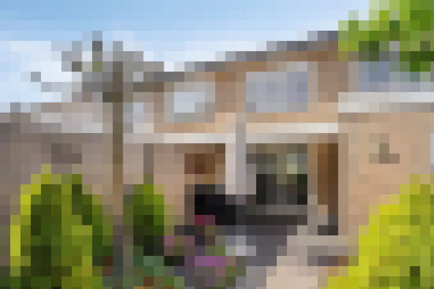 Cranendoncklaan 55 Budel thumbnail 35