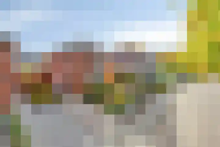 Cranendoncklaan 97 a Budel thumbnail 10
