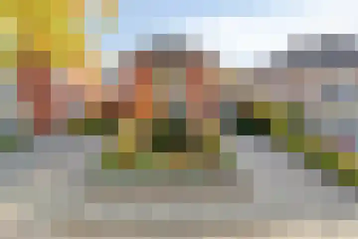 Cranendoncklaan 97 a Budel thumbnail 11