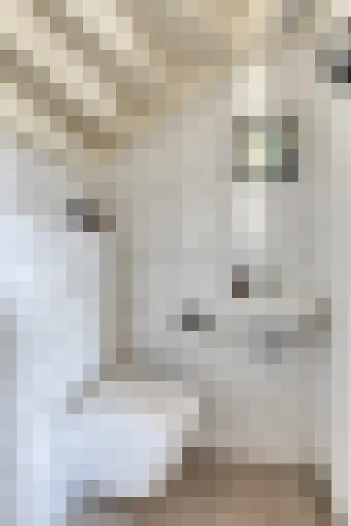 Cranendoncklaan 97 a Budel thumbnail 15
