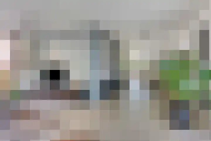 Cranendoncklaan 97 a Budel thumbnail 16