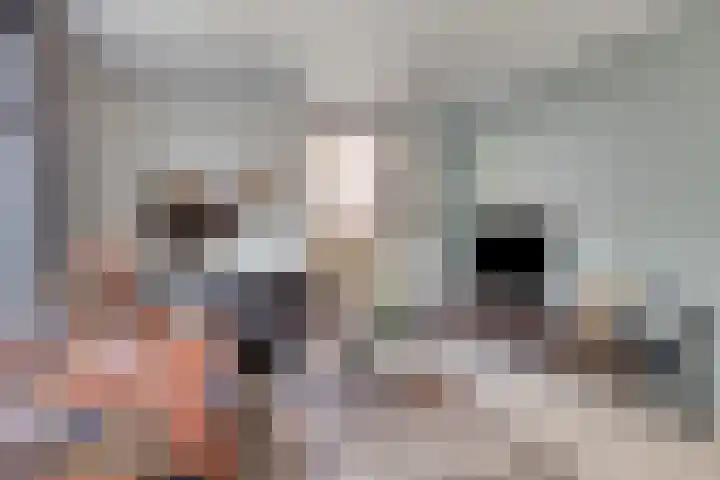 Cranendoncklaan 97 a Budel thumbnail 17