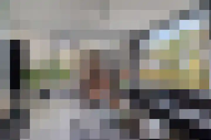 Cranendoncklaan 97 a Budel thumbnail 18